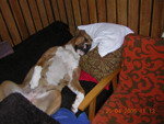 gal/Daisy/_thb_Daisy 31.jpg